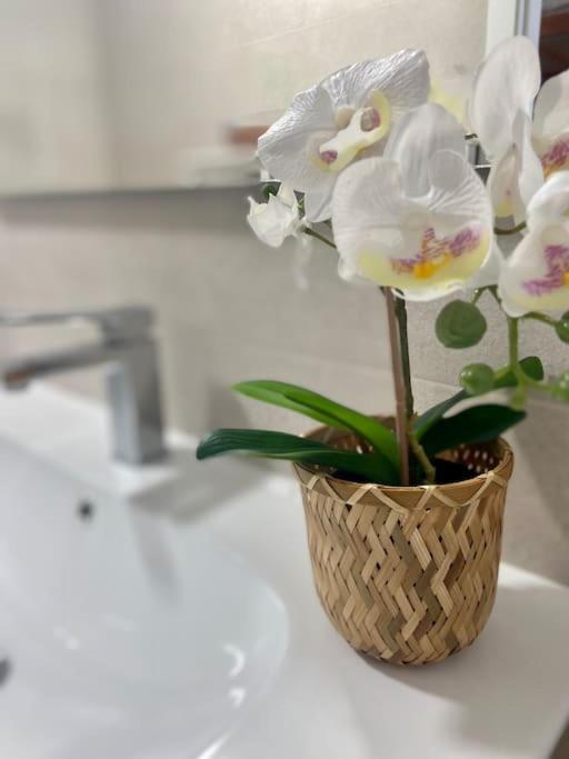 Precioso Loft En Caion Rocha, Sobre La Arena Y El Mar Apartment Cayón Екстериор снимка